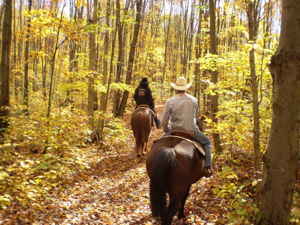 Horseback Riding in the Cohutta Wilderness Georgia