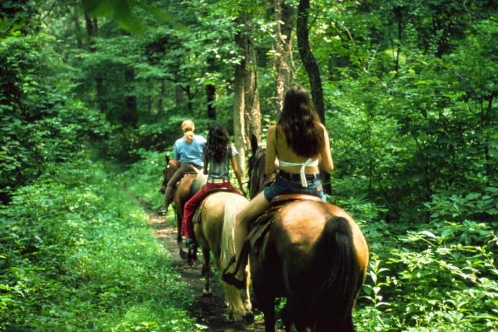 Group Horseback Riding in Blue Ridge GA