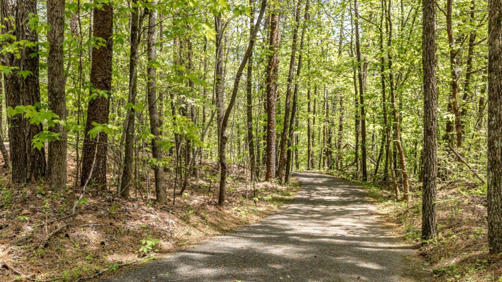 Hiking Path in Big Canoe